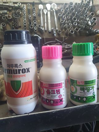 강릉농업귀신님의 두릅 · 영농일지 작성글 사진