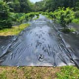 팜모닝 복숭아·영농일지 게시글 이미지