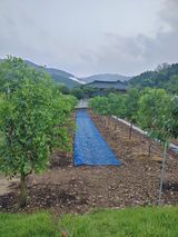 팜모닝 기타작물·영농일지 게시글 이미지