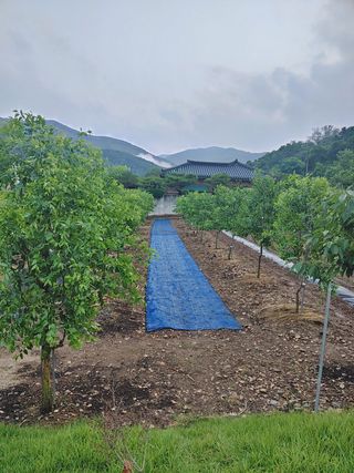 우상철님의 기타작물 · 영농일지 작성글 사진