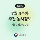 팜모닝 팜모닝공식·혜택 게시글 이미지