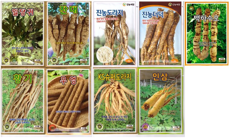 장터 상품 [도라지씨앗, 더덕씨앗, 잔대씨앗, 인삼씨앗, 황기씨앗, 당귀씨앗] 썸네일