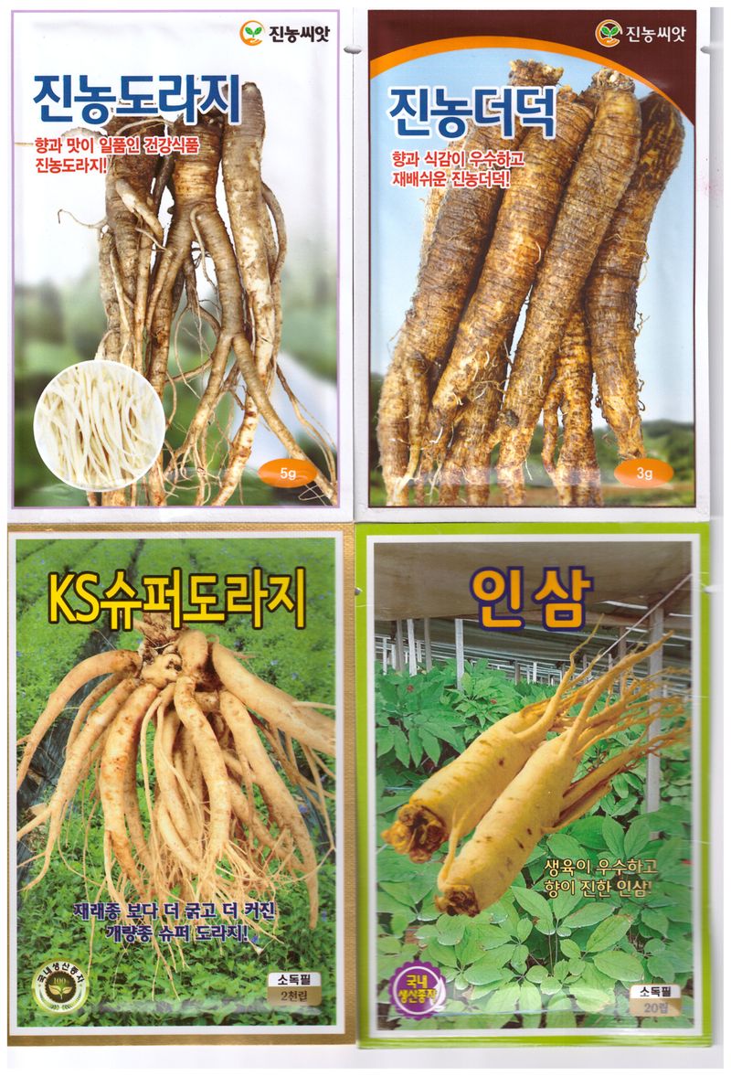 한농농약종묘사님의 장터 판매 상품 [도라지씨앗, 더덕씨앗, 잔대씨앗, 인삼씨앗, 황기씨앗, 당귀씨앗] 첨부 사진