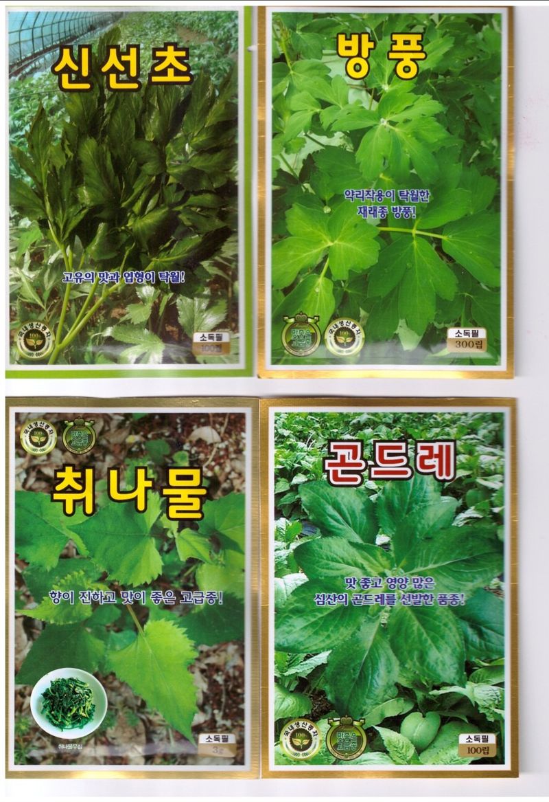 한농농약종묘사님의 장터 판매 상품 [도라지씨앗, 더덕씨앗, 잔대씨앗, 인삼씨앗, 황기씨앗, 당귀씨앗] 첨부 사진