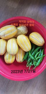 팜모닝 기타작물·자유게시판 게시글 이미지