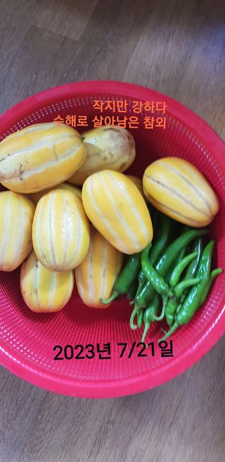 김수연님의 기타작물 · 자유게시판 작성글 사진