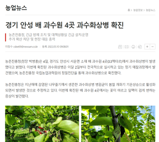 세계평화랑님의 사과 · 병해충상담 작성글 사진