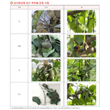 팜모닝 사과·병해충상담 게시글 이미지