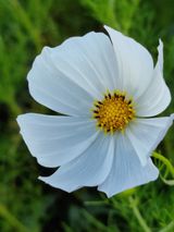 팜모닝 수해 농가 응원 같이해요·참여 게시글 이미지