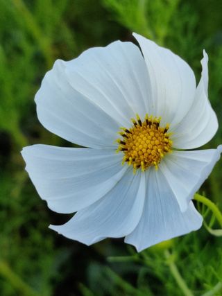알 수 없음님의 수해 농가 응원 같이해요 · 참여 작성글 사진