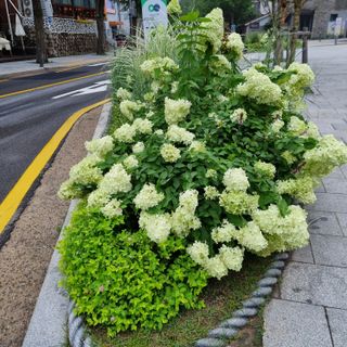 알 수 없음님의 수해 농가 응원 같이해요 · 참여 작성글 사진