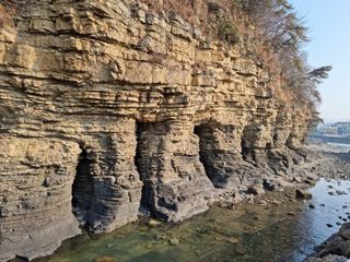 알 수 없음님의 수해 농가 응원 같이해요 · 참여 작성글 사진