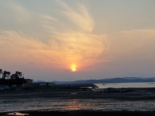 알 수 없음님의 수해 농가 응원 같이해요 · 참여 작성글 사진