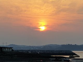 알 수 없음님의 수해 농가 응원 같이해요 · 참여 작성글 사진