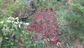 이정운님의 기타작물 · 영농일지 작성글 사진