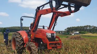 농부아내님의 작성글 사진