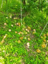 팜모닝 수해 농가 응원 같이해요·참여 게시글 이미지