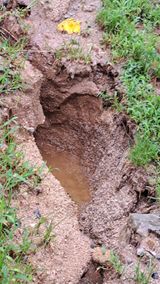 팜모닝 수해 농가 응원 같이해요·참여 게시글 이미지