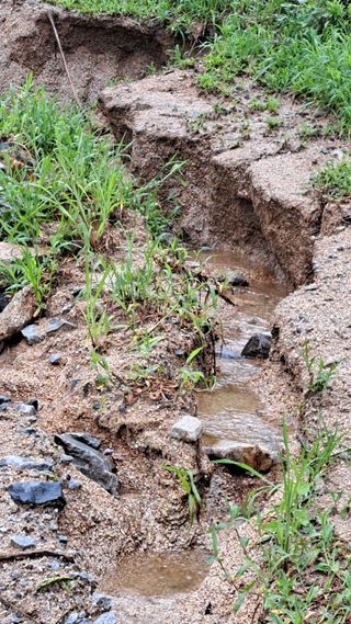 조연만님의 수해 농가 응원 같이해요 · 참여 작성글 사진