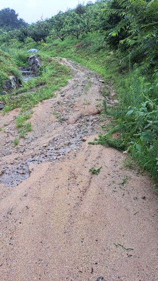 조연만님의 수해 농가 응원 같이해요 · 참여 작성글 사진