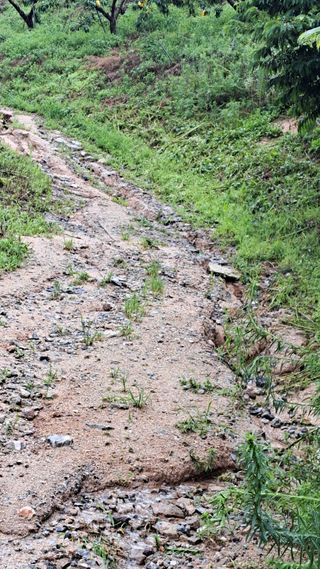 조연만님의 수해 농가 응원 같이해요 · 참여 작성글 사진