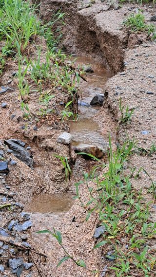 조연만님의 수해 농가 응원 같이해요 · 참여 작성글 사진