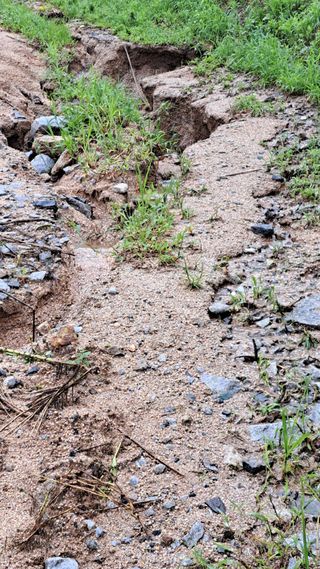 조연만님의 수해 농가 응원 같이해요 · 참여 작성글 사진