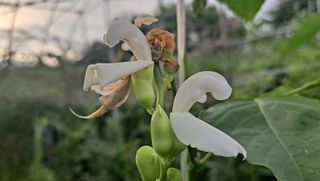 이정운님의 기타작물 · 자유게시판 작성글 사진