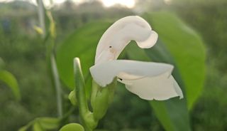 이정운님의 기타작물 · 자유게시판 작성글 사진