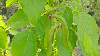 이정운님의 기타작물 · 자유게시판 작성글 사진