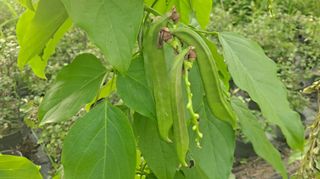 이정운님의 기타작물 · 자유게시판 작성글 사진