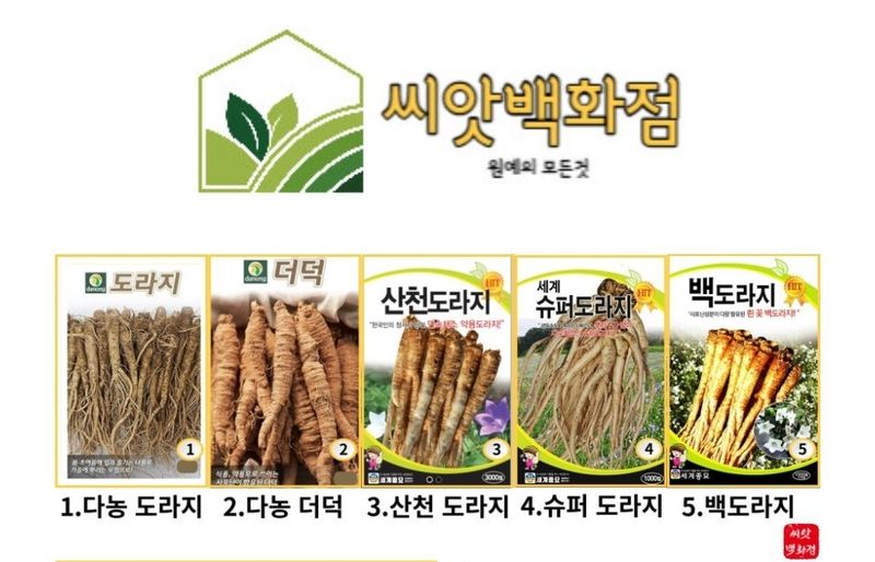장터 상품 [🌱도라지 더덕 씨앗] 썸네일