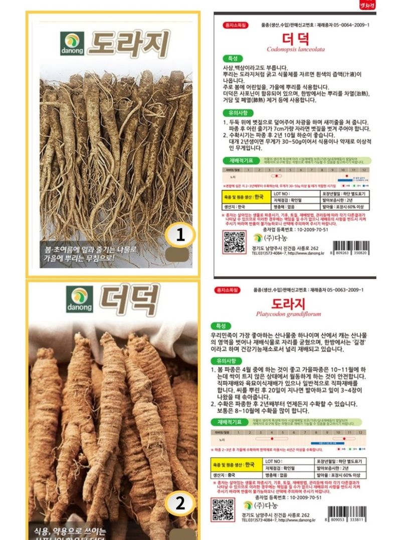 대산농사대장님의 장터 판매 상품 [🌱도라지 더덕 씨앗] 첨부 사진
