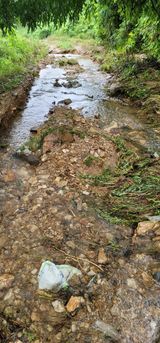 팜모닝 수해 농가 응원 같이해요·참여 게시글 이미지