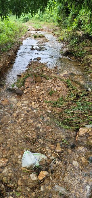 김명희님의 수해 농가 응원 같이해요 · 참여 작성글 사진