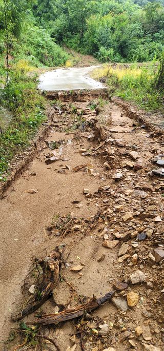 김명희님의 수해 농가 응원 같이해요 · 참여 작성글 사진