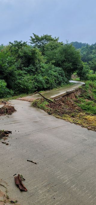 김명희님의 수해 농가 응원 같이해요 · 참여 작성글 사진
