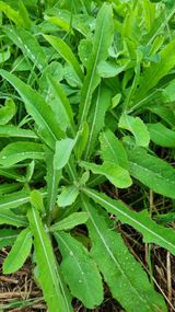 팜모닝 우리동네·동네질문 게시글 이미지