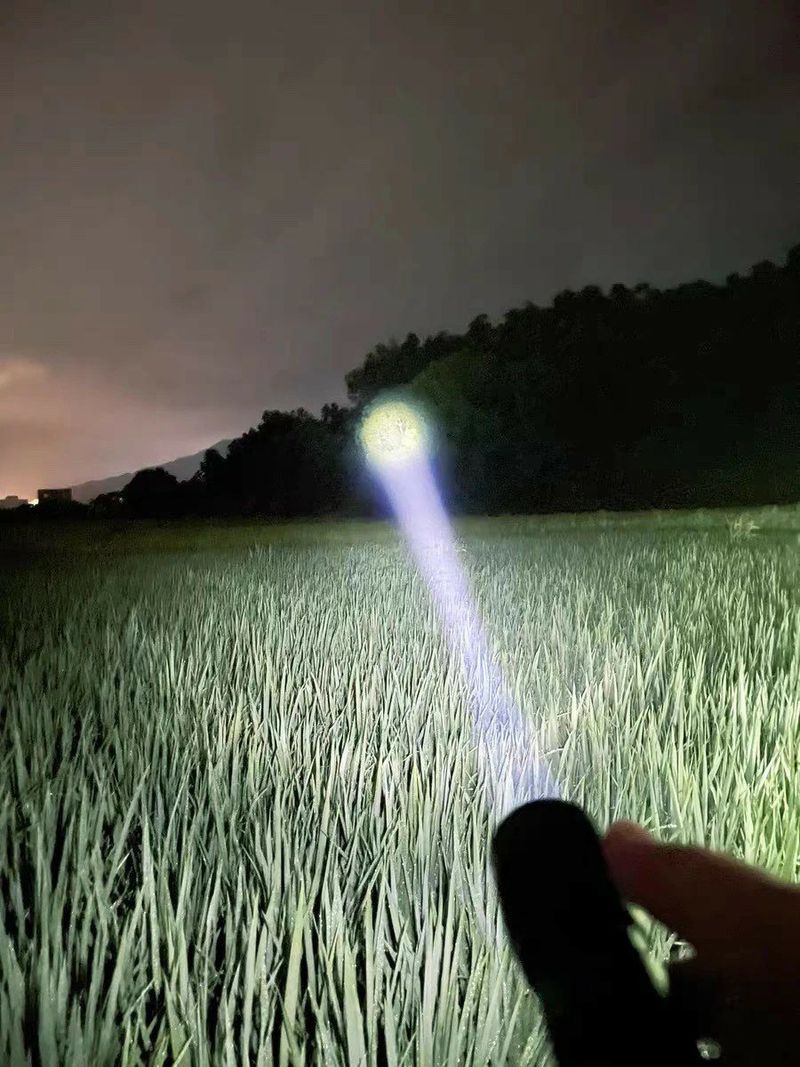 조수철님의 장터 판매 상품 [💥몬스터 "줌"다기능 사이드렌턴 후레쉬👍] 첨부 사진