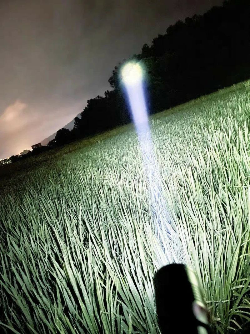 조수철님의 장터 판매 상품 [💥몬스터 "줌"다기능 사이드렌턴 후레쉬👍] 첨부 사진