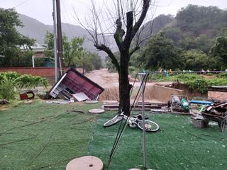 호빵이농장님의 수해 농가 응원 같이해요 · 참여 작성글 사진