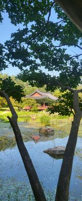 팜모닝 수해 농가 응원 같이해요·참여 게시글 이미지