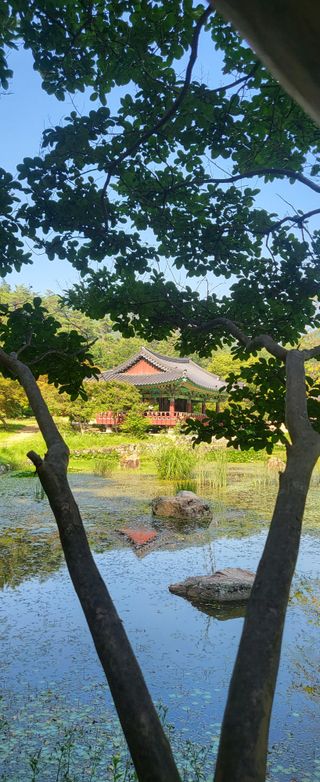 일선팜님의 수해 농가 응원 같이해요 · 참여 작성글 사진
