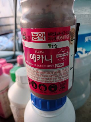 K.G.B.님의 딸기 · 영농일지 작성글 사진