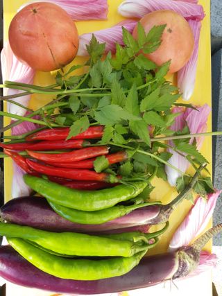 새리님의 자유주제 · 자유게시판 작성글 사진