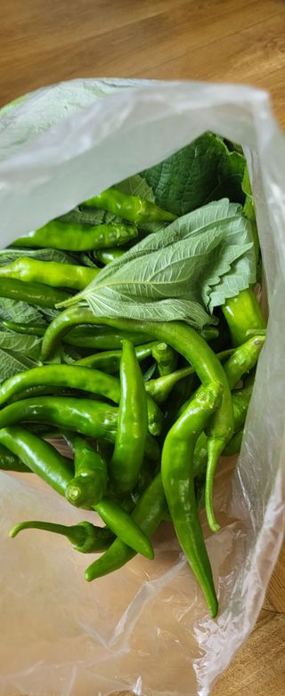 김원영님의 자유주제 · 자유게시판 작성글 사진