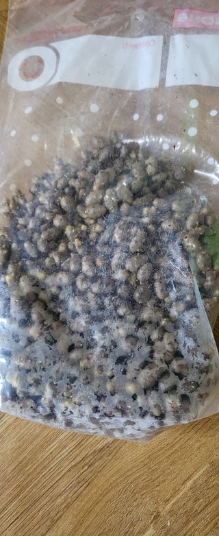 김원영님의 자유주제 · 자유게시판 작성글 사진