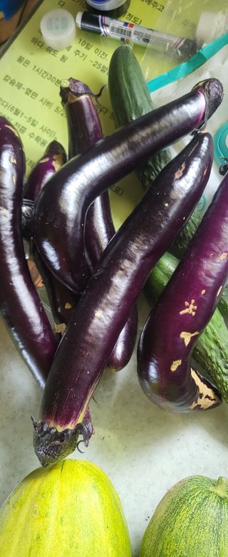 김원영님의 자유주제 · 자유게시판 작성글 사진