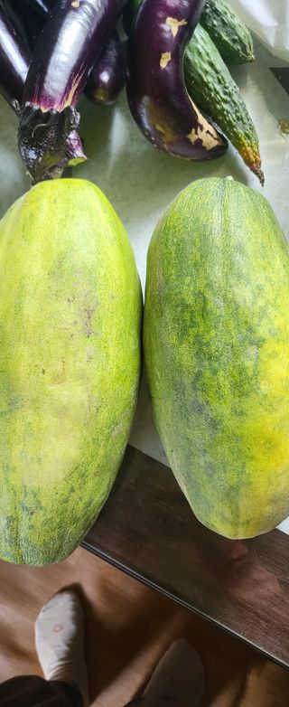 김원영님의 자유주제 · 자유게시판 작성글 사진