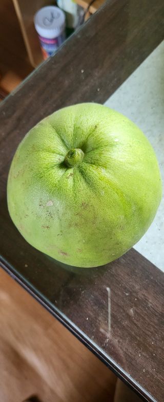 김원영님의 자유주제 · 자유게시판 작성글 사진